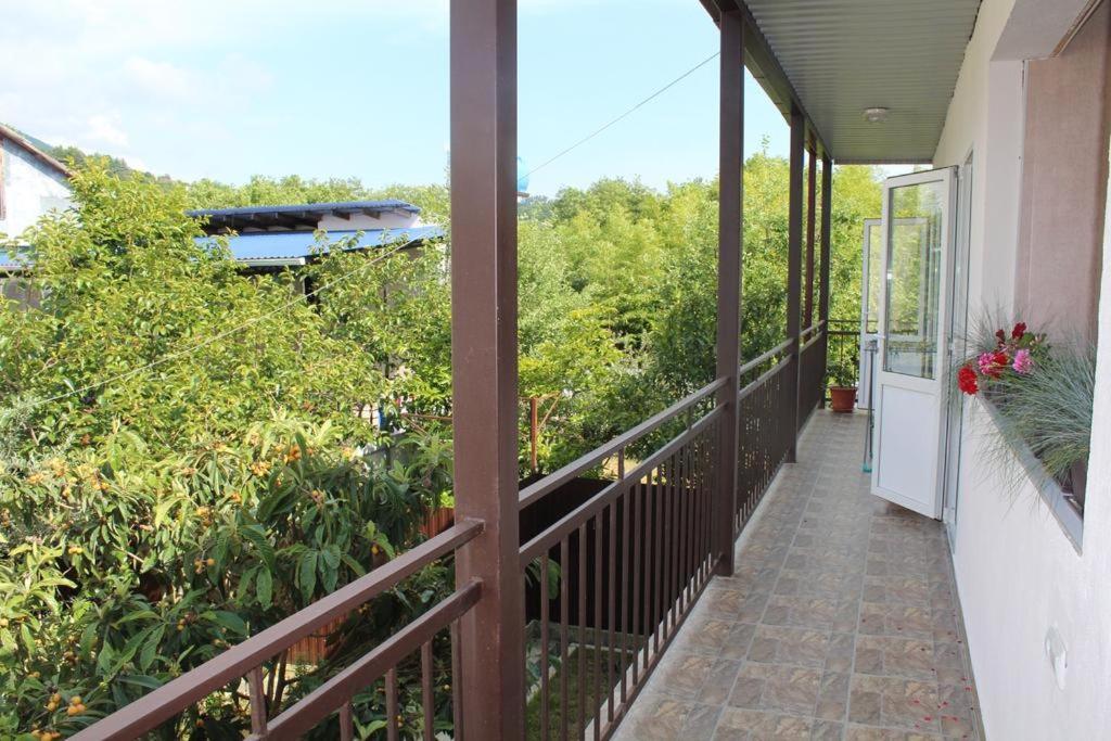 Guest House U Aleny Gagry Exterior photo